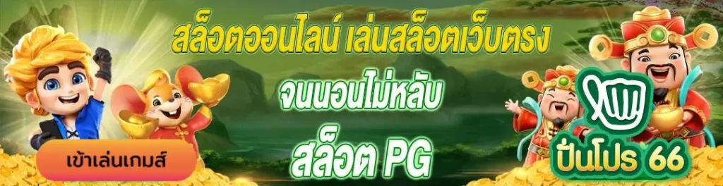 punpro66